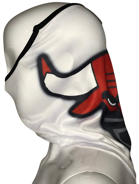 *All Season Face Coverings* ~BULLS~