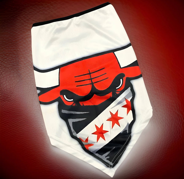 *All Season Face Coverings* ~BULLS~