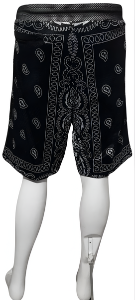 ^OUTFIT KINGS^ MESH SHORTS (LINED) *BLACK-SILVER PAISLEY* SUMMER ACTIVEWEAR (REVERSIBLE)