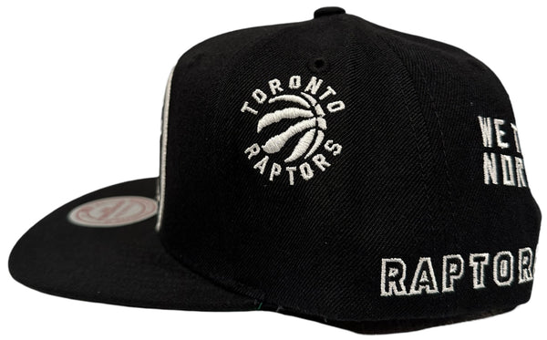 *Totonto Raptors* snapback hats by Mitchell & Ness