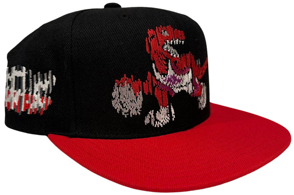 *Toronto Raptors* snapback hats by Mitchell & Ness