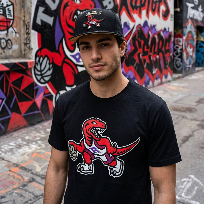 *TORONTO RAPTORS* Snapback Hats by Michell and Ness (Adjustable Fit)