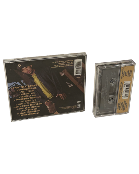 •COMMON SENSE - CAN I BORROW A DOLLAR?• ~1992 OG CASSETTE PRESSINGS & CD REPRESS~ (CD & CASSETTE TAPE)