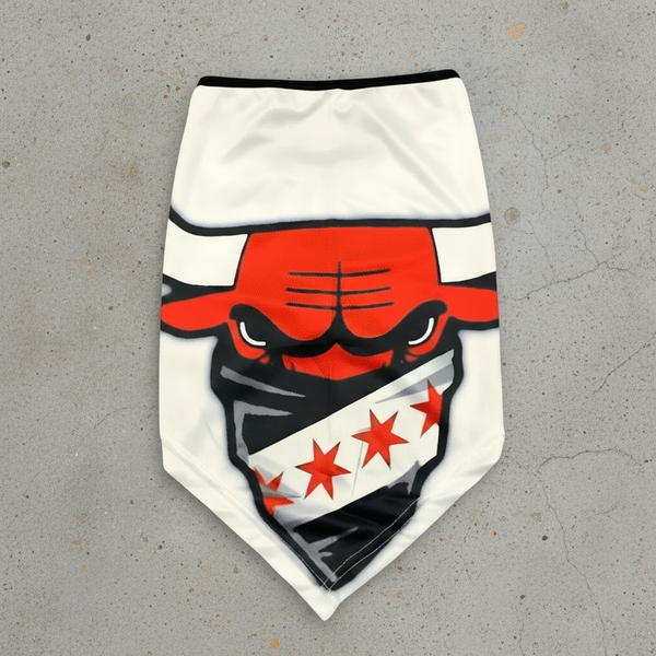 *All Season Face Coverings* ~BULLS~