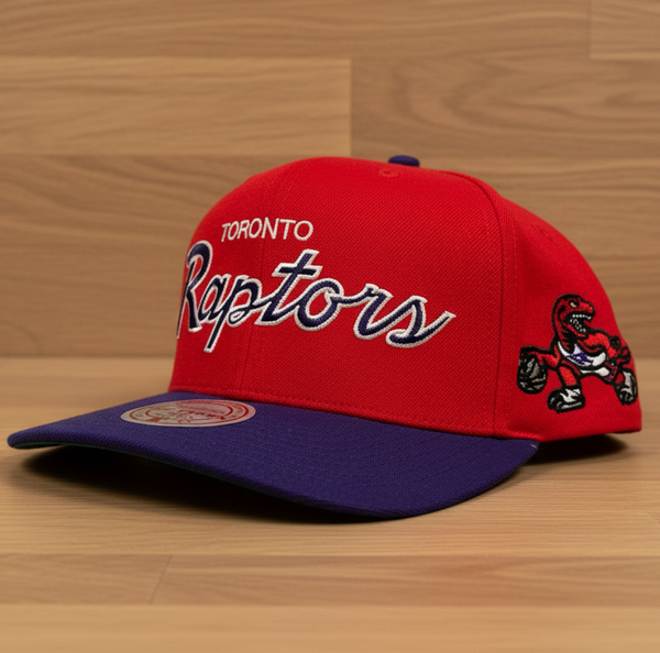 *TORONTO RAPTORS* Pro Crown Fit Snapback Hats by Mitchell & Ness