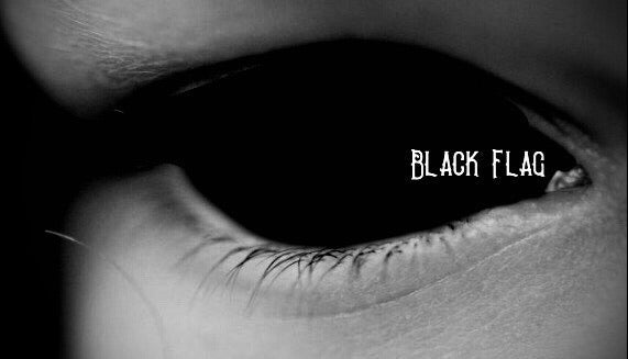 ^BLACK FLAG^ (BLACK) ~CREW POSSE~ EMBROIDERED PULLOVER HOODIES