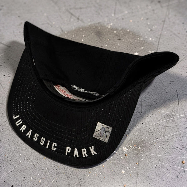*TORONTO RAPTORS* Snapback Hats by Mitchell & Ness (Original Fit)