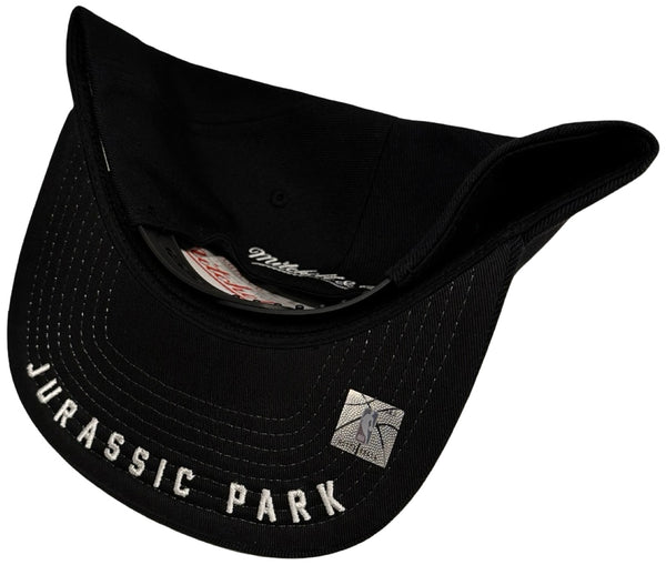 *Toronto Raptors* snapback hats by Mitchell & Ness