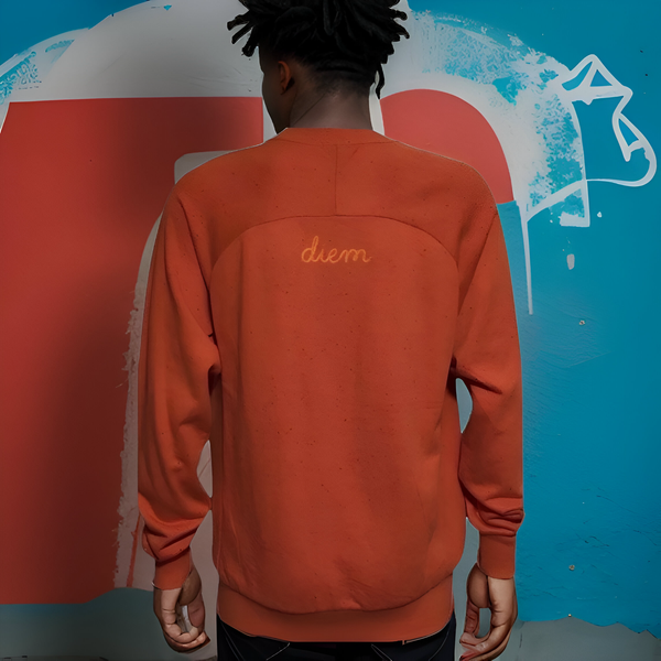 ^DIEM^ (ORANGE) ~DON'T FRONT~ EMBROIDERED KNIT CREWNECKS