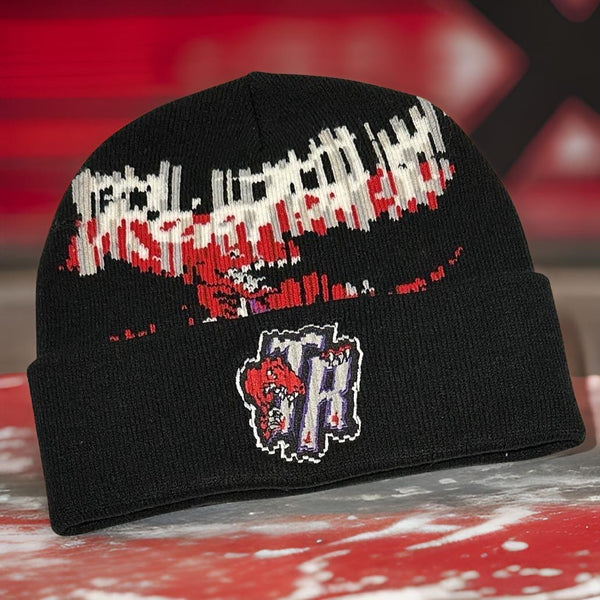 *TORONTO RAPTORS* ~Winter Beanies~ by Mitchell & Ness