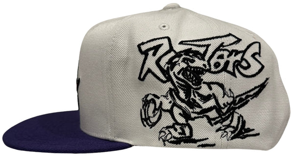 *Toronto Raptors* snapback hat By Mitchell & Ness