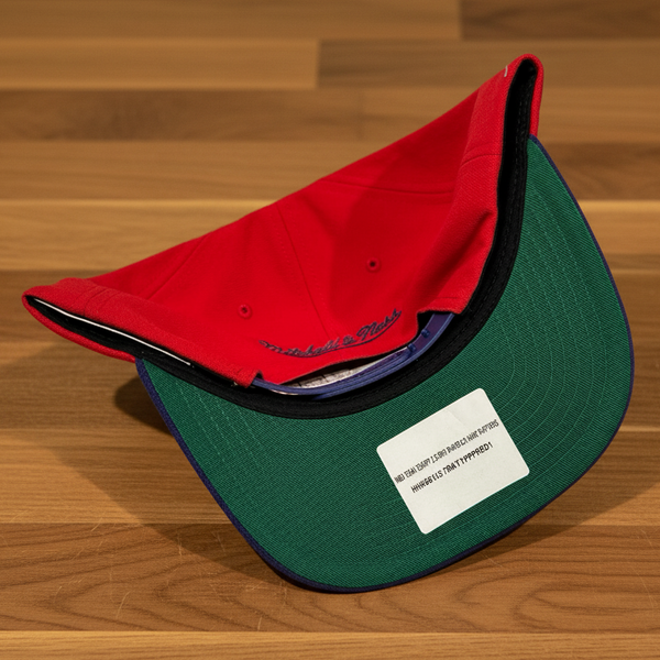 *TORONTO RAPTORS* Pro Crown Fit Snapback Hats by Mitchell & Ness