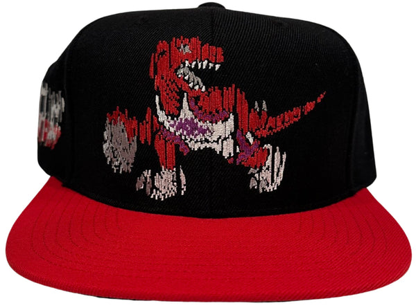 *Toronto Raptors* snapback hats by Mitchell & Ness