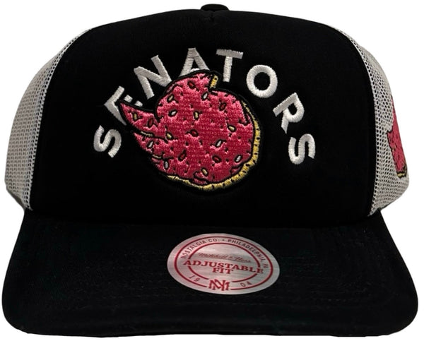*Ottawa Senators* ~trucker style snapback hats by Mitchell & Ness~