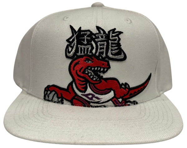 *Toronto Raptors* snapback hats by Mitchell & Ness