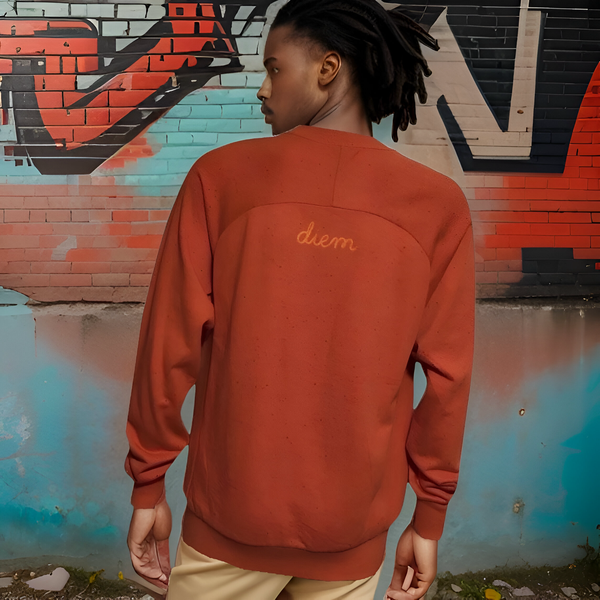 ^DIEM^ (ORANGE) ~DON'T FRONT~ EMBROIDERED KNIT CREWNECKS