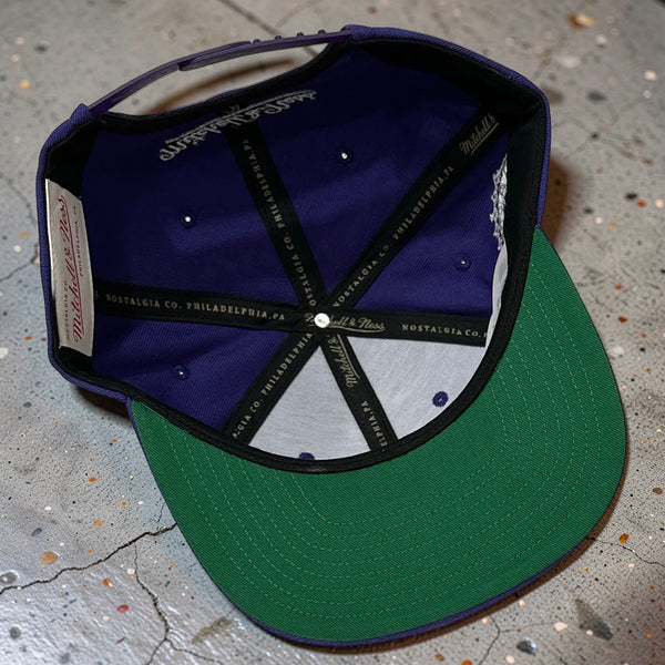 *TORONTO RAPTORS* Snapback hat by Mitchell & Ness (Vince Carter)