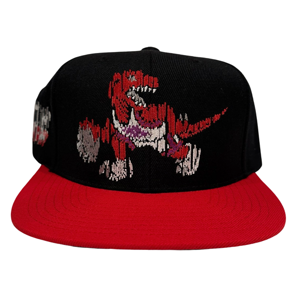 *Toronto Raptors* snapback hats by Mitchell & Ness