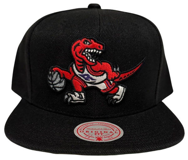 *Toronto Raptors* snapback hat by Mitchell & Ness