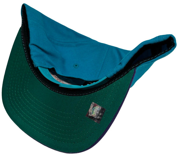 •Charlotte Hornets• ~snapback hats by Mitchell & Ness~
