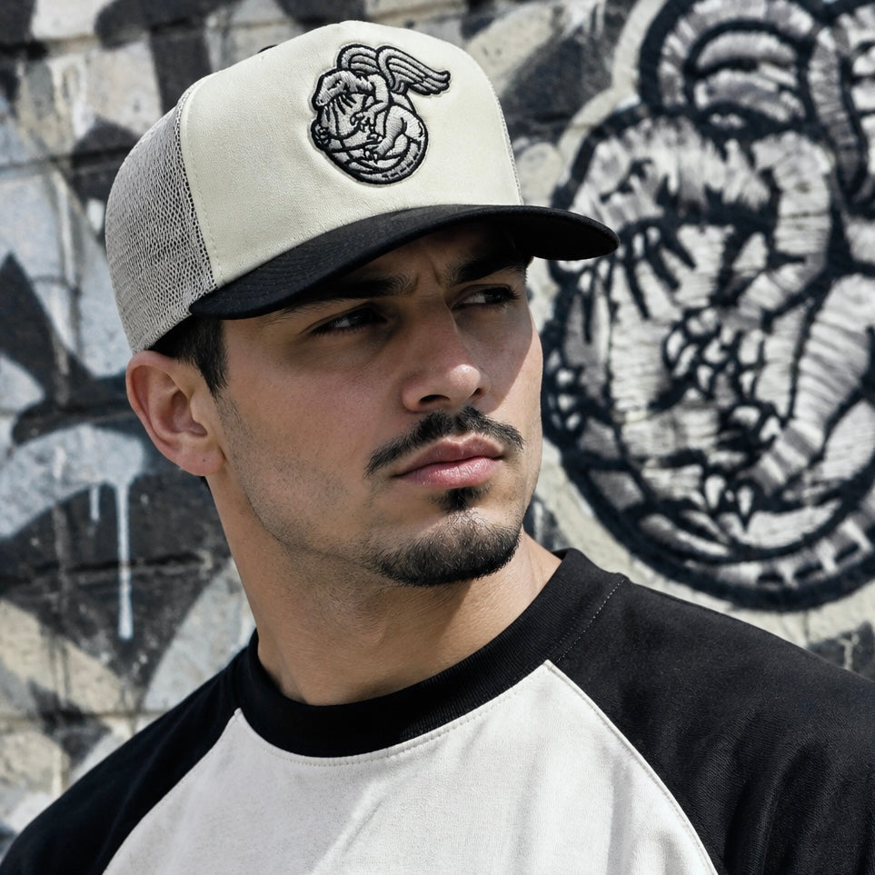 *TORONTO RAPTORS* Truck Style Snapback Hats by Mitchell & Ness