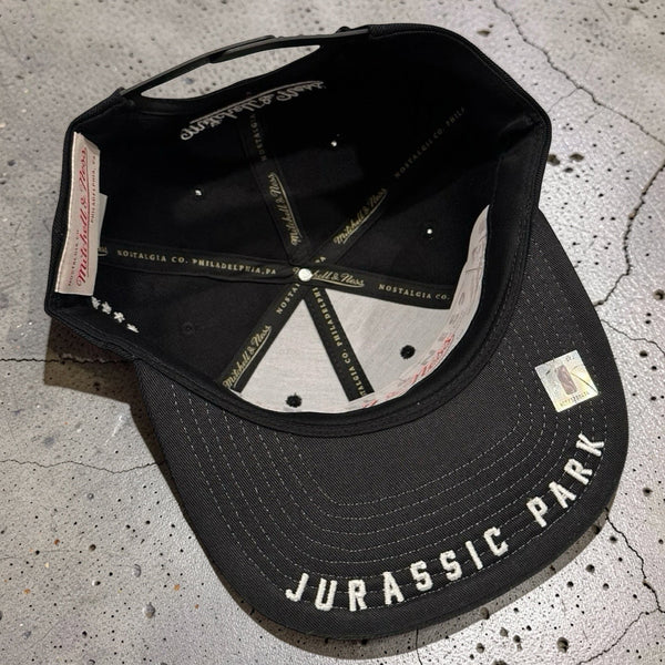 *TORONTO RAPTORS* Snapback Hats by Mitchell & Ness (Original Fit)