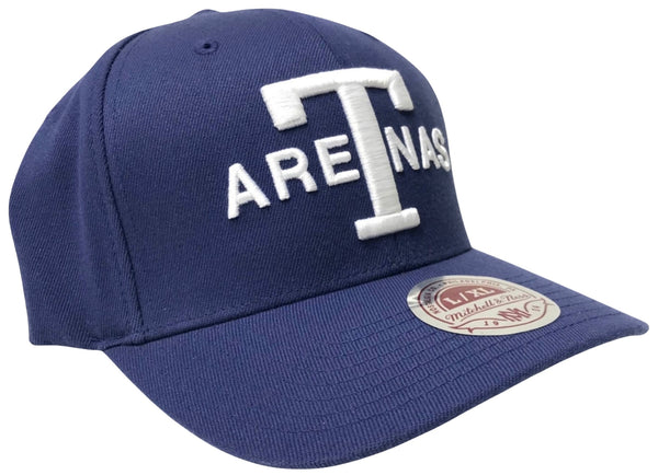 *Texas Arenas* curved beak flex fit hat by Mitchell & Ness