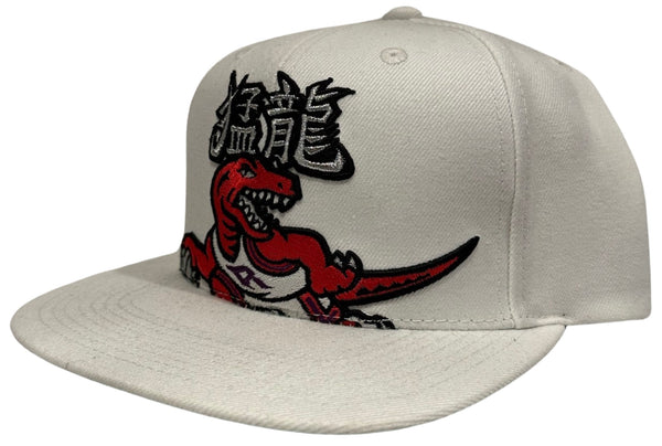 *Toronto Raptors* snapback hats by Mitchell & Ness