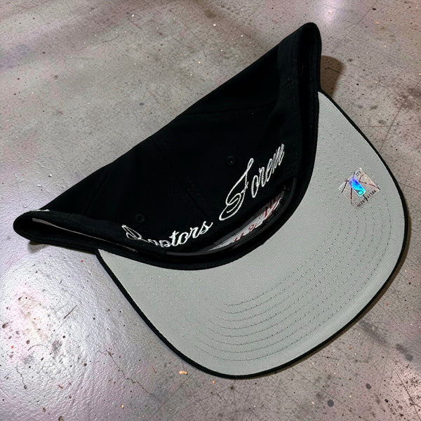 *TORONTO RAPTORS* Snapback Hats by Mitchell & Ness (Pro Pinch Fit)