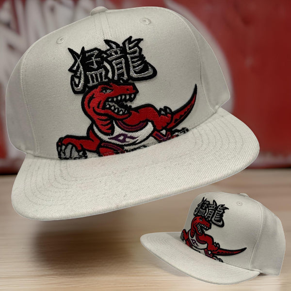 *Toronto Raptors* snapback hats by Mitchell & Ness