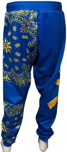 ^DEFEND UKRAINE^ POLYESTER JOGGER SWEATPANTS (FLEECE LINED)