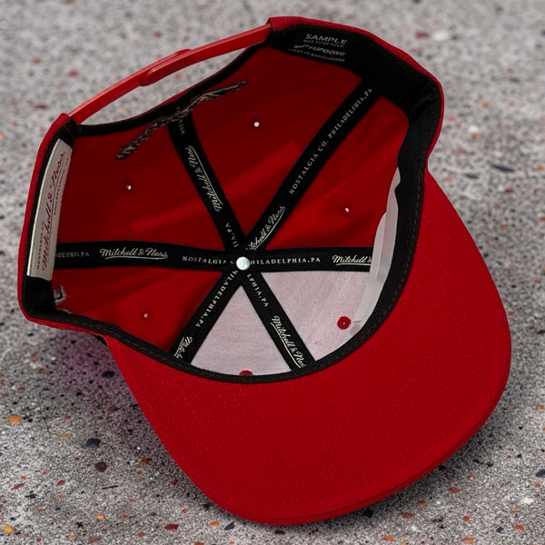 *TORONTO RAPTORS* Snapback hat by Mitchell & Ness (Rare Dealer Sample)