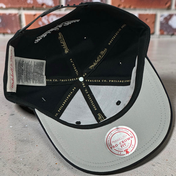 *TORONTO RAPTORS* Snapback Hats by Michell and Ness (Pro Crown Fit)