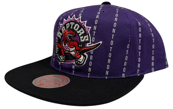 *Toronto Raptors* ~Deastock Fit~ snapback hat by Mitchell & Ness