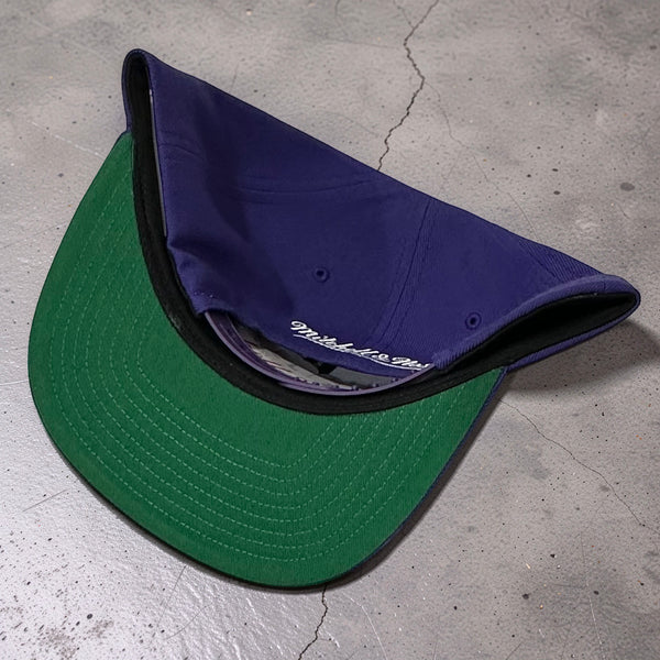 *TORONTO RAPTORS* Snapback hat by Mitchell & Ness (Vince Carter)