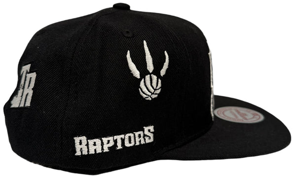 *Totonto Raptors* snapback hats by Mitchell & Ness