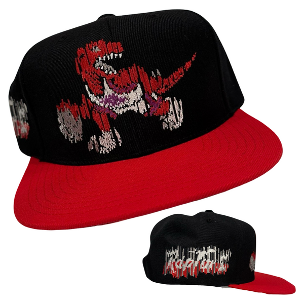 *Toronto Raptors* snapback hats by Mitchell & Ness