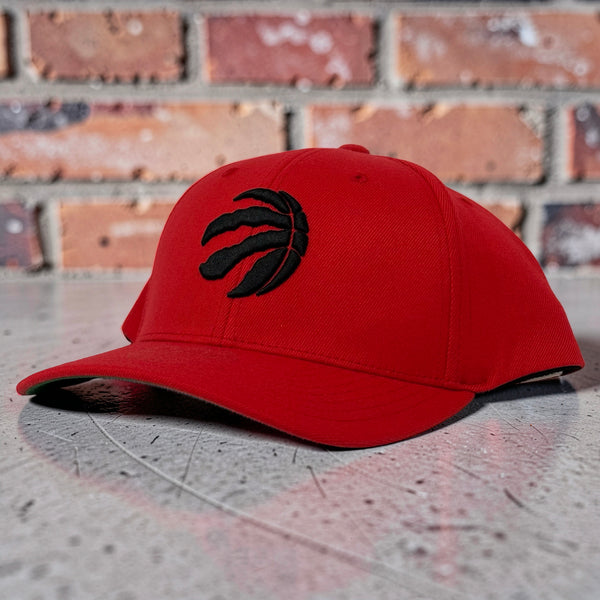 *TORONTO RAPTORS* Snapback hat by Mitchell & Ness (Flex Fit)