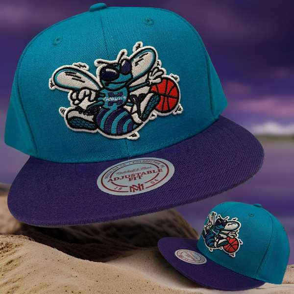 *Charlotte Hornets* snapback hats by Mitchell & Ness