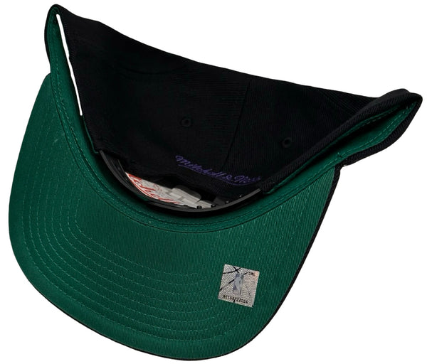 *Toronto Raptors* snapback hats by Mitchell & Ness