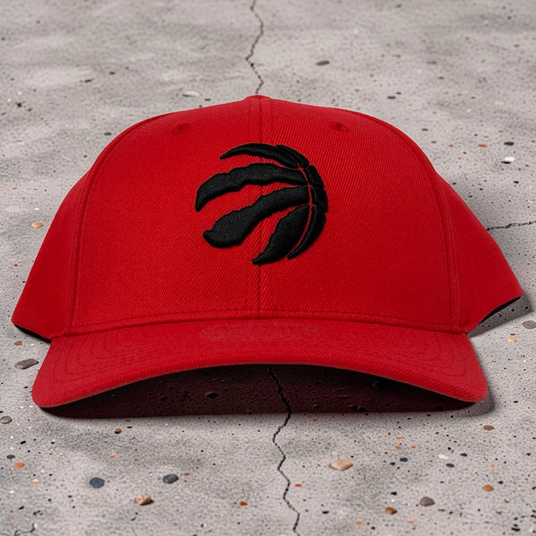 *TORONTO RAPTORS* Snapback hat by Mitchell & Ness (Flex Fit)