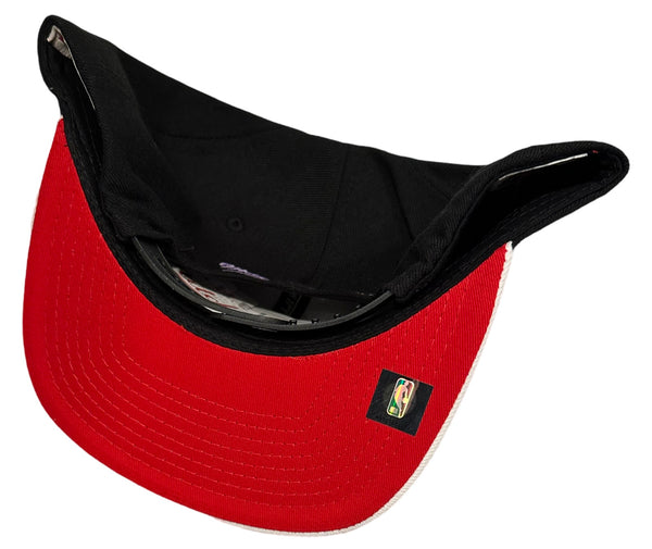 *Toronto Raptors* snapback hats by Mitchell & Ness