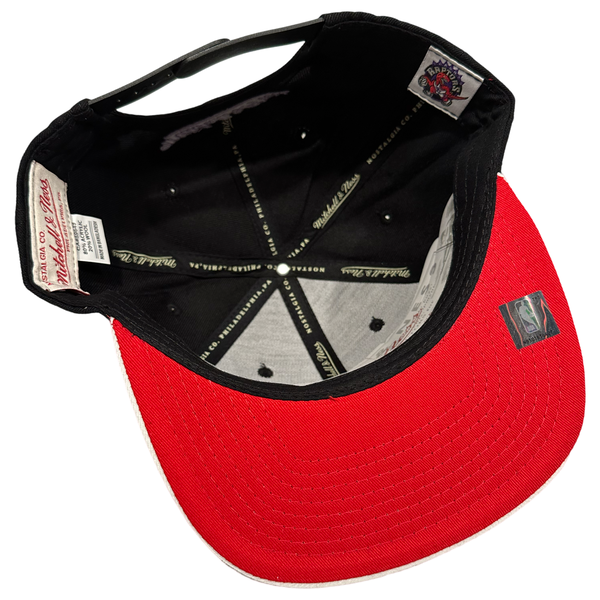 *Toronto Raptors* snapback hats by Mitchell & Ness