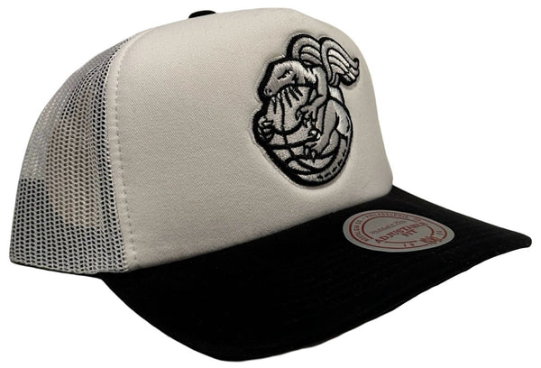 *Toronto Raptors* trucker style snapback hats by Mitchell & Ness