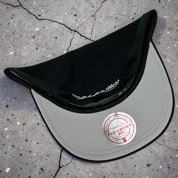 *TORONTO RAPTORS* Snapback Hats by Michell and Ness (Pro Crown Fit)