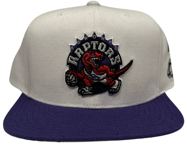 *Toronto Raptors* snapback hat By Mitchell & Ness