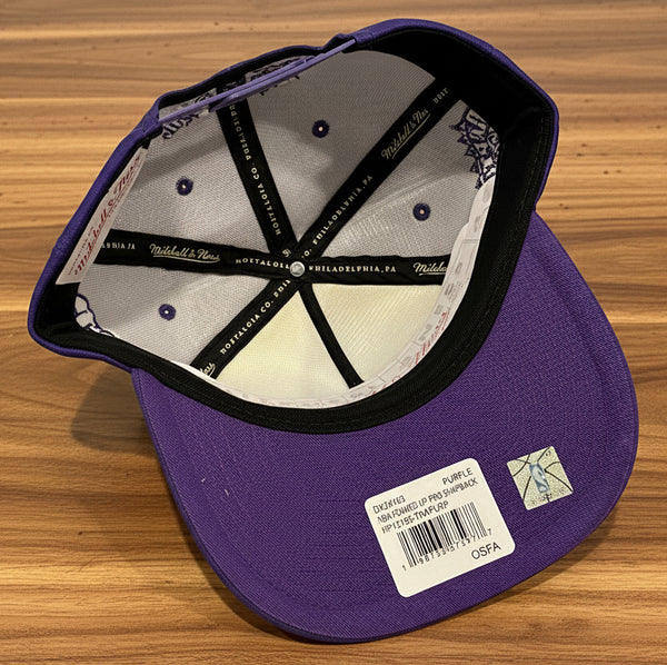 *TORONTO RAPTORS * Foamed Up Pro Snapback Hats by Mitchell & Ness