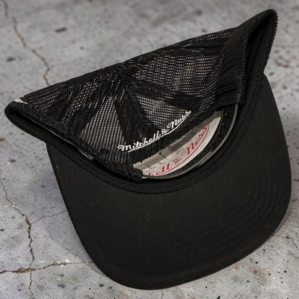 *TORONTO RAPTORS* Trucker Mesh Style Snapback Hats by Mitchell & Ness (Rare Promo Sample)