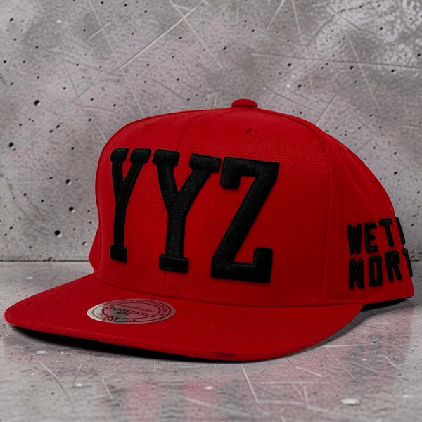 *TORONTO RAPTORS* Snapback hat by Mitchell & Ness (Rare Dealer Sample)