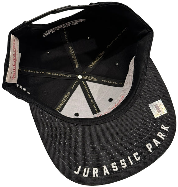 *Toronto Raptors* snapback hats by Mitchell & Ness